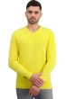 Cachemire pull homme epais tour first daffodil m