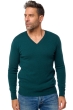 Cachemire petits prix homme tor first vert emeraude 2xl