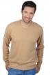 Cachemire pull homme col v gaspard camel 