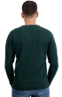 Cachemire pull homme epais tour first green l