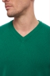 Cachemire pull homme les intemporels hippolyte 4f vert anglais 2xl