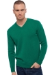 Cachemire pull homme les intemporels hippolyte 4f vert anglais 3xl