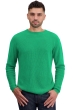 Cachemire pull homme taima new green s