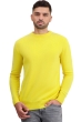 Cachemire pull homme touraine first daffodil 3xl
